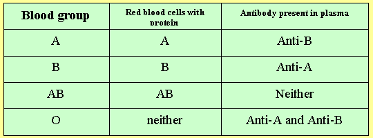 Exercise for ab online blood type